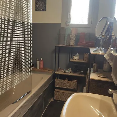 Les Des Chats Malicieux *