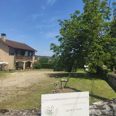 Les Des Chats Malicieux Bed & Breakfast