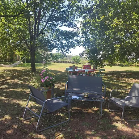 Les Des Chats Malicieux Cajarc