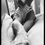 Bed & Breakfast Les Des Chats Malicieux Cajarc